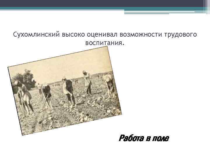 Сухомлинский высоко оценивал возможности трудового воспитания. Работа в поле 
