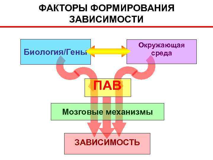 ФАКТОРЫ ФОРМИРОВАНИЯ ЗАВИСИМОСТИ Окружающая среда Биология/Гены ПАВ Мозговые механизмы ЗАВИСИМОСТЬ 