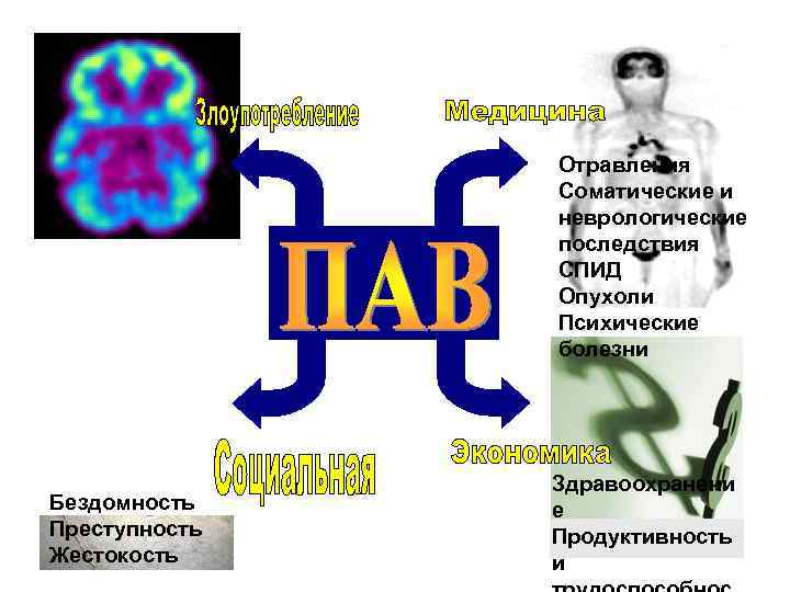 Отравления Соматические и неврологические NEUROTOXICITY AIDS последствия CANCER СПИД MENTAL ILLNESS Опухоли Психические болезни