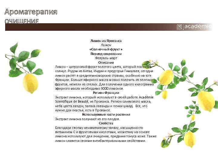 Ароматерапия ОЧИЩЕНИЕ Лимон из Прованса Лимон «Солнечный фрукт » Период созревания Февраль-март Описание Лимон