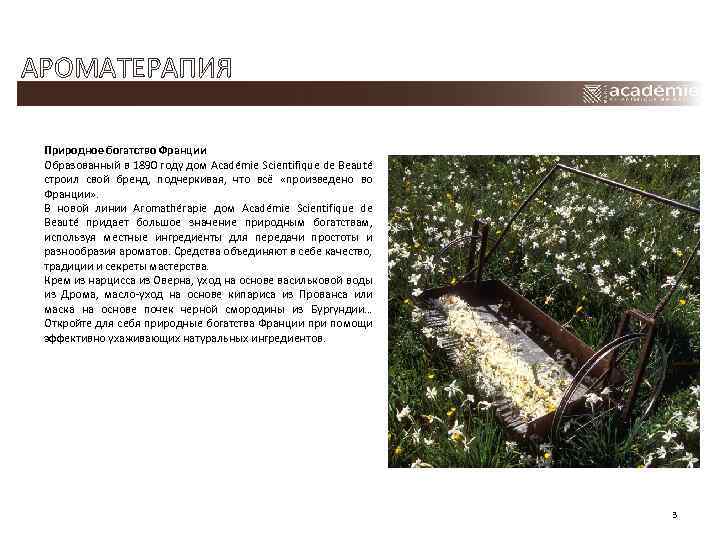 АРОМАТЕРАПИЯ Природное богатство Франции Образованный в 1890 году дом Académie Scientifique de Beauté строил