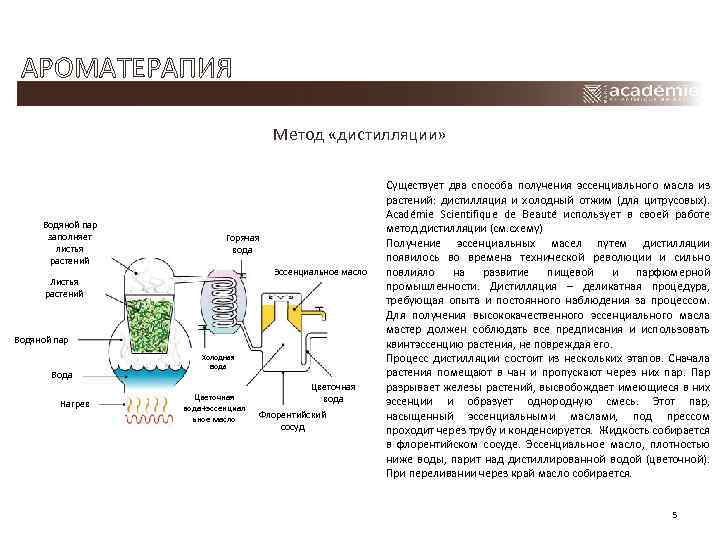 АРОМАТЕРАПИЯ Метод «дистилляции» Водяной пар заполняет листья растений Горячая вода Эссенциальное масло Листья растений