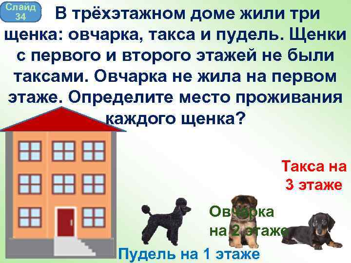 Слайд 34 В трёхэтажном доме жили три щенка: овчарка, такса и пудель. Щенки с