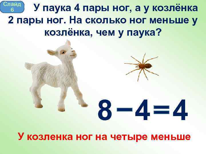 Слайд 6 У паука 4 пары ног, а у козлёнка 2 пары ног. На