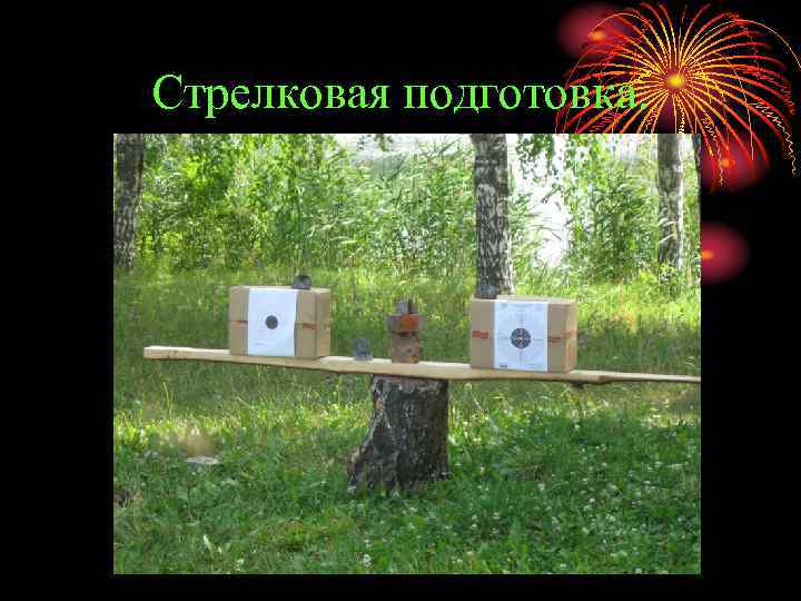 Стрелковая подготовка. 