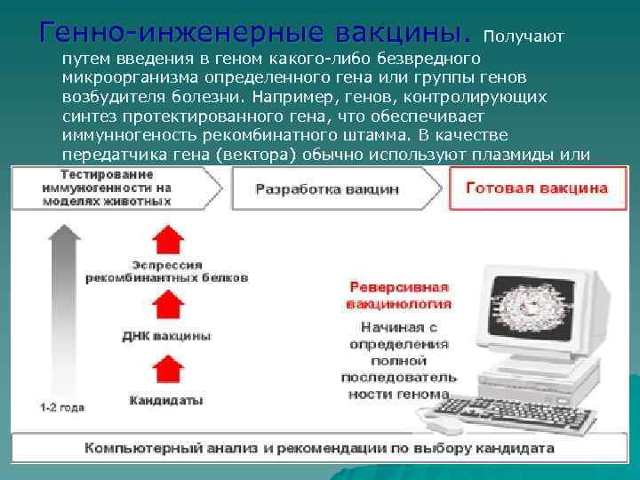 Получение генно инженерных вакцин схема