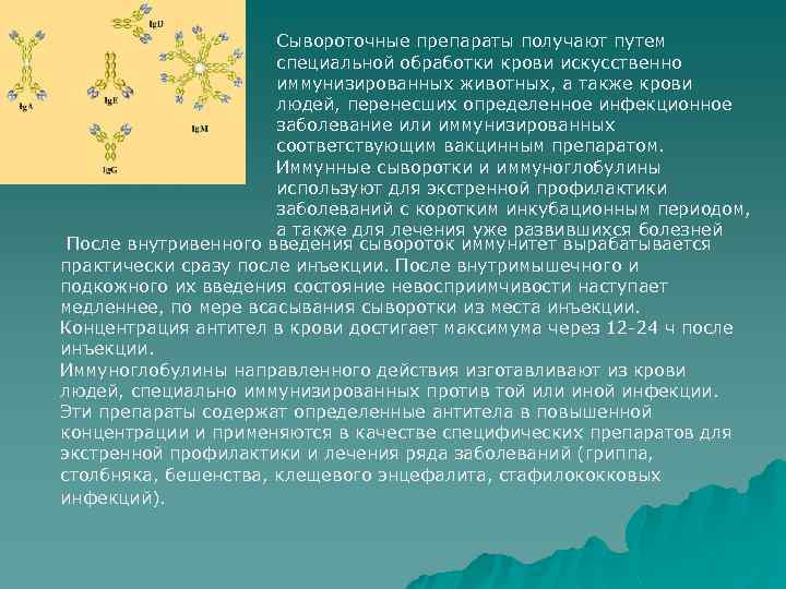 Сывороточные препараты получают путем специальной обработки крови искусственно иммунизированных животных, а также крови людей,