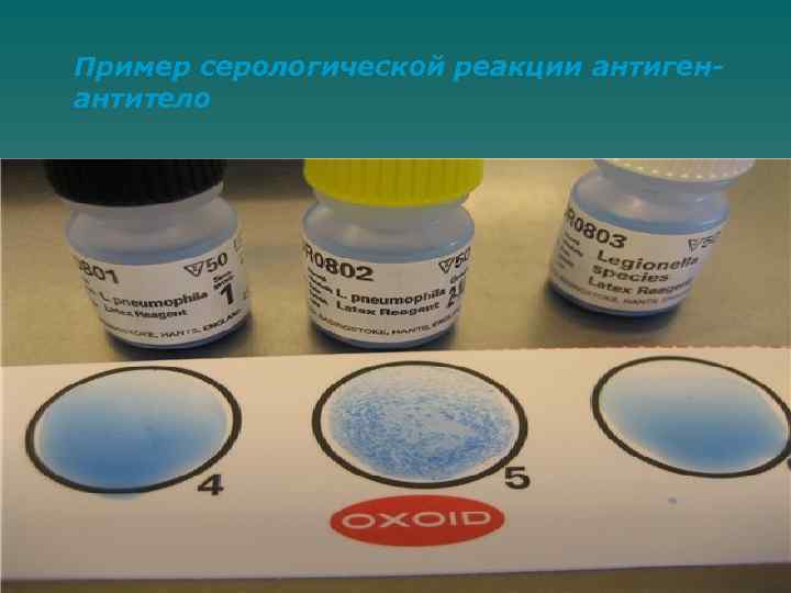Пример серологической реакции антигенантитело 