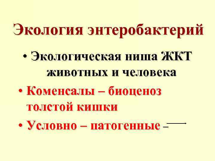 Экология энтеробактерий • Экологическая ниша ЖКТ животных и человека • Коменсалы – биоценоз толстой