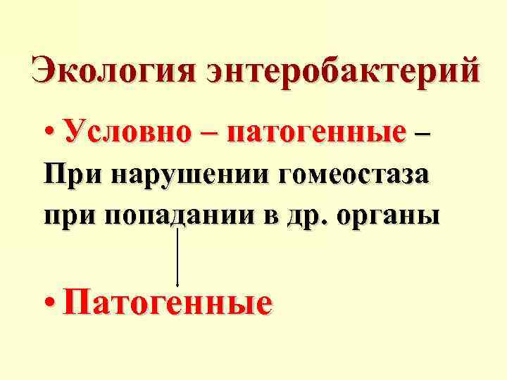 Экология энтеробактерий • Условно – патогенные – При нарушении гомеостаза при попадании в др.