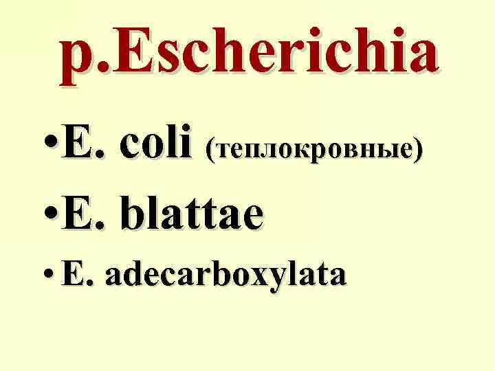р. Escherichia • E. coli (теплокровные) • E. blattae • E. adecarboxylata 