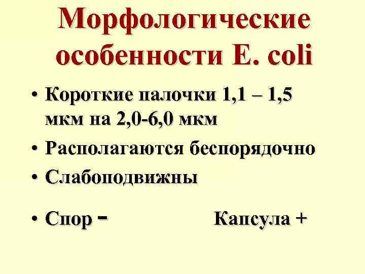 Морфологические особенности E. coli • Короткие палочки 1, 1 – 1, 5 мкм на