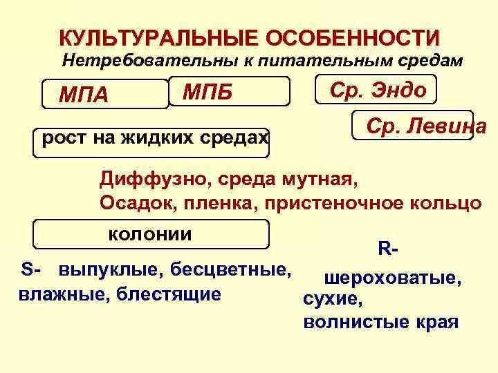 К сложным относятся. К сложным средам относят. К простым средам относят. К простым питательным средам относят. К сложным питательным средам относят.