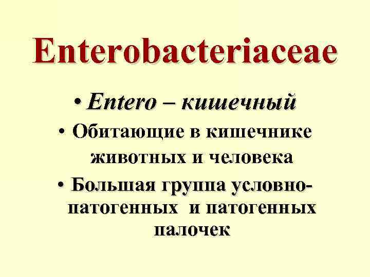 Enterobacteriaceae • Entero – кишечный • Обитающие в кишечнике животных и человека • Большая