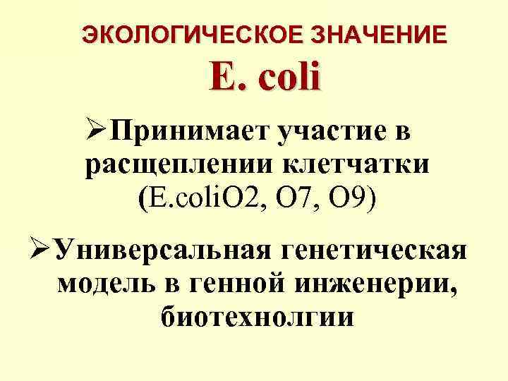 ЭКОЛОГИЧЕСКОЕ ЗНАЧЕНИЕ E. coli ØПринимает участие в расщеплении клетчатки (E. coli. О 2, О