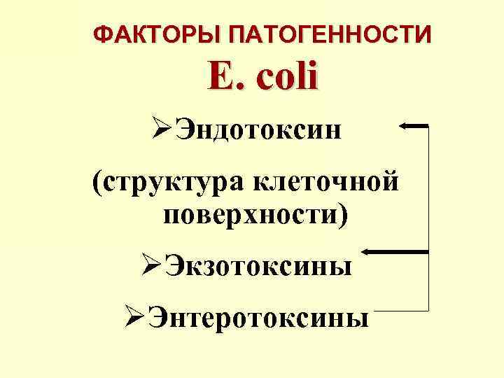ФАКТОРЫ ПАТОГЕННОСТИ E. coli ØЭндотоксин (структура клеточной поверхности) ØЭкзотоксины ØЭнтеротоксины 
