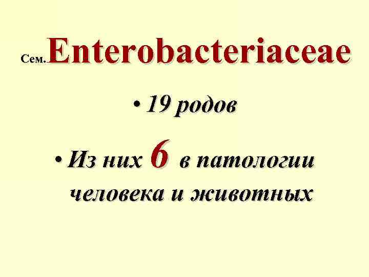 Enterobacteriaceae Сем. • 19 родов 6 • Из них в патологии человека и животных