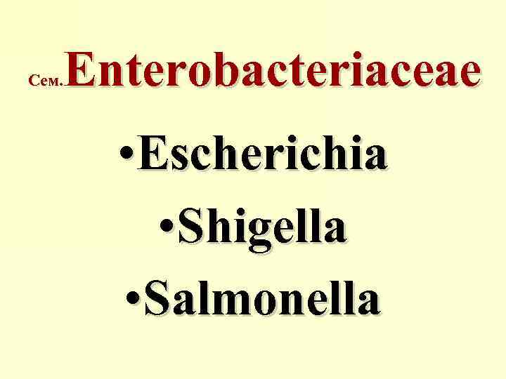 Enterobacteriaceae Сем. • Escherichia • Shigella • Salmonella 