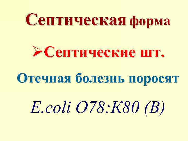 Септическая форма ØСептические шт. Отечная болезнь поросят E. сoli О 78: К 80 (В)