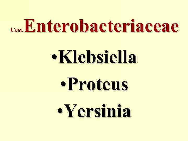 Enterobacteriaceae Сем. • Klebsiella • Proteus • Yersinia 