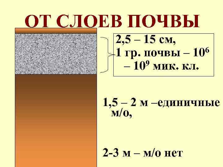 ОТ СЛОЕВ ПОЧВЫ 2, 5 – 15 см, 1 гр. почвы – 106 –