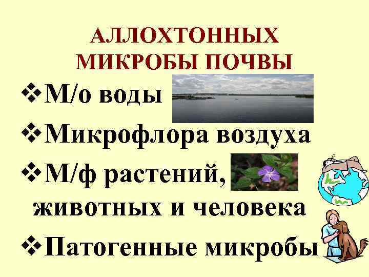 АЛЛОХТОННЫХ МИКРОБЫ ПОЧВЫ v. М/о воды v. Микрофлора воздуха v. М/ф растений, животных и