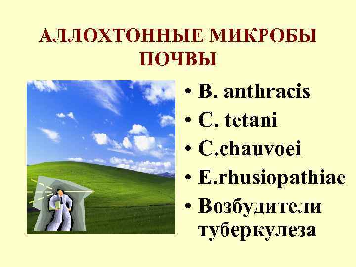 АЛЛОХТОННЫЕ МИКРОБЫ ПОЧВЫ • B. anthracis • C. tetani • C. chauvoei • E.