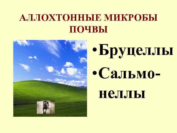 АЛЛОХТОННЫЕ МИКРОБЫ ПОЧВЫ • Бруцеллы • Сальмонеллы 