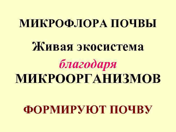 МИКРОФЛОРА ПОЧВЫ Живая экосистема благодаря МИКРООРГАНИЗМОВ ФОРМИРУЮТ ПОЧВУ 