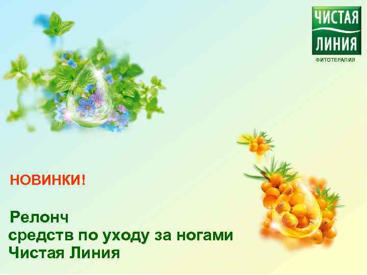 ФИТОТЕРАПИЯ НОВИНКИ! Релонч средств по уходу за ногами Чистая Линия 