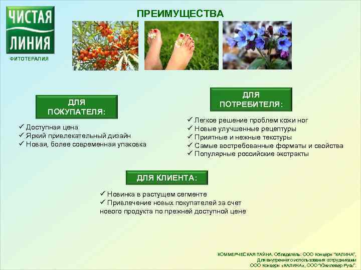 ПРЕИМУЩЕСТВА ФИТОТЕРАПИЯ ДЛЯ ПОТРЕБИТЕЛЯ: ДЛЯ ПОКУПАТЕЛЯ: ü Доступная цена ü Яркий привлекательный дизайн ü
