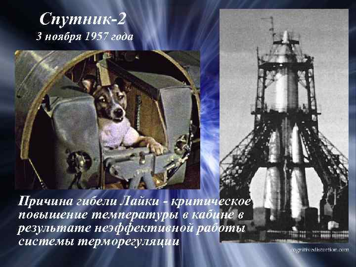 Спутник-2 3 ноября 1957 года Причина гибели Лайки - критическое повышение температуры в кабине