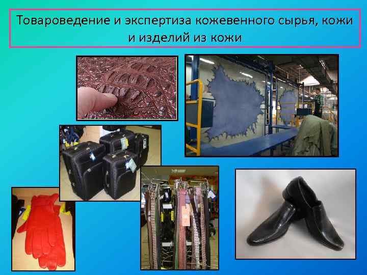 Товароведение и экспертиза кожевенного сырья, кожи и изделий из кожи 