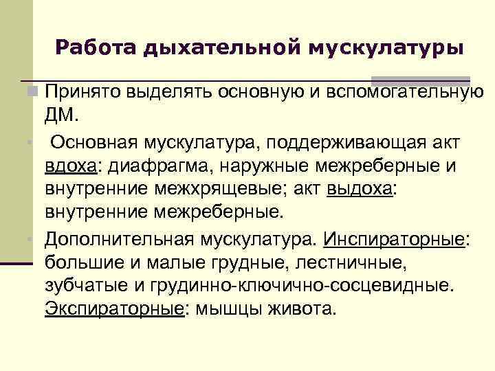 Работа дыхательной мускулатуры n Принято выделять основную и вспомогательную ДМ. • Основная мускулатура, поддерживающая