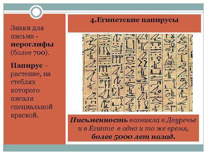 4. Египетские папирусы Знаки для письма иероглифы (более 700). Папирус – растение, на стеблях