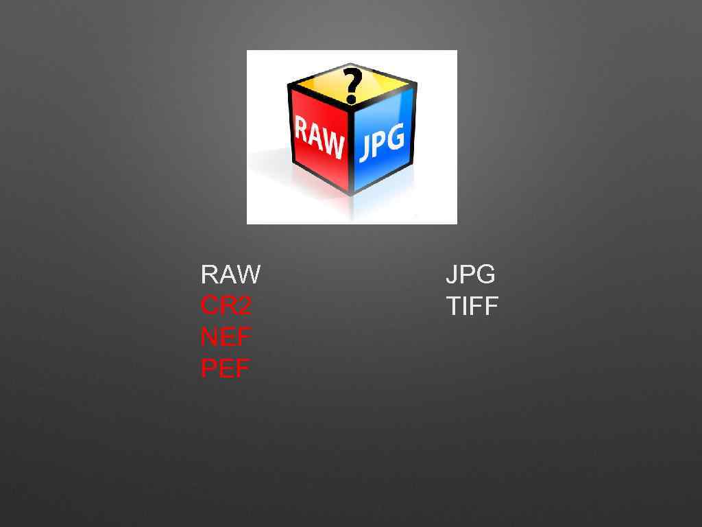 RAW CR 2 NEF PEF JPG TIFF 