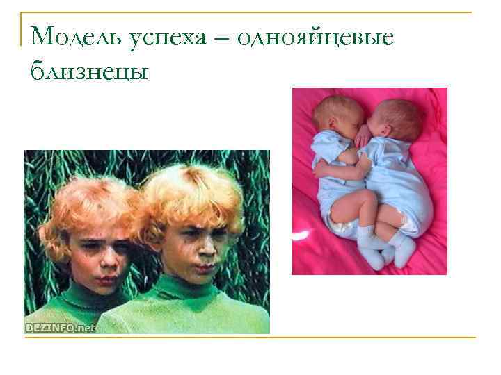 Модель успеха – однояйцевые близнецы 
