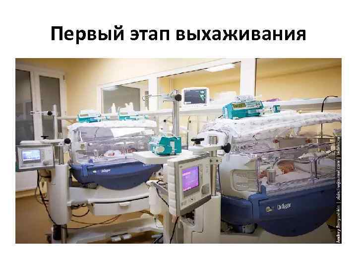 Первый этап выхаживания 