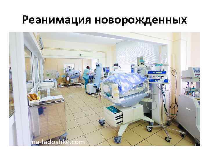 Реанимация новорожденных 