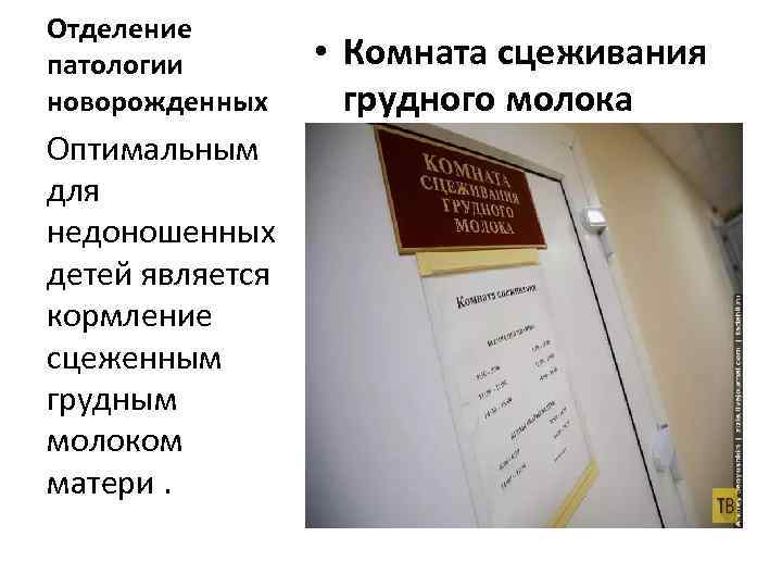 Отделение патологии новорожденных Оптимальным для недоношенных детей является кормление сцеженным грудным молоком матери. •