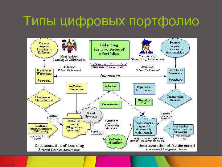 Типы цифровых портфолио 