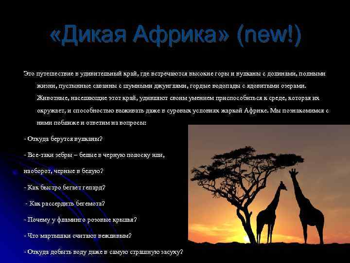  «Дикая Африка» (new!) Это путешествие в удивительный край, где встречаются высокие горы и
