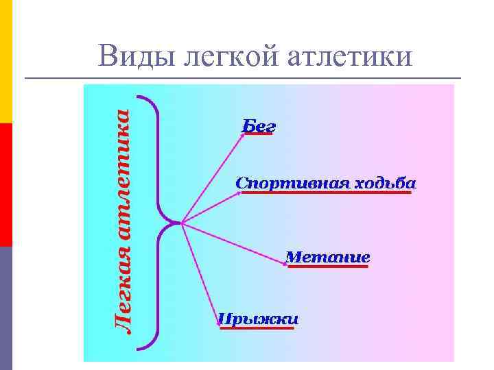 Виды легкой атлетики 