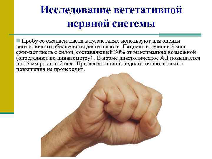 Исследование вегетативной нервной системы n Пробу со сжатием кисти в кулак также используют для