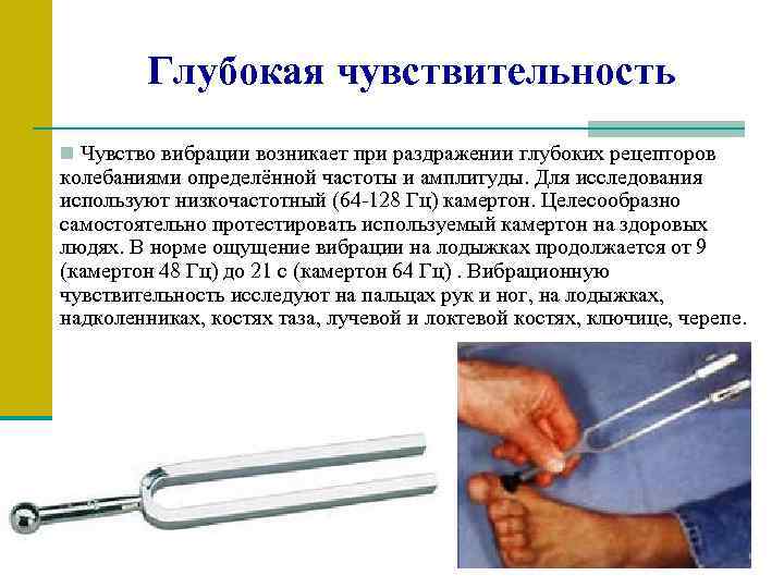 Глубокая чувствительность n Чувство вибрации возникает при раздражении глубоких рецепторов колебаниями определённой частоты и