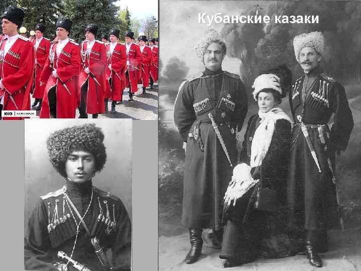 Кубанские казаки 