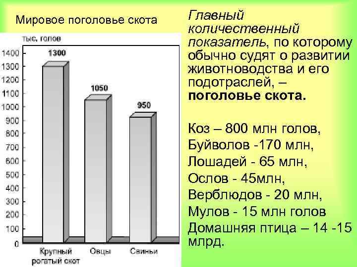 Мировое поголовье скота Главный количественный показатель, по которому обычно судят о развитии животноводства и