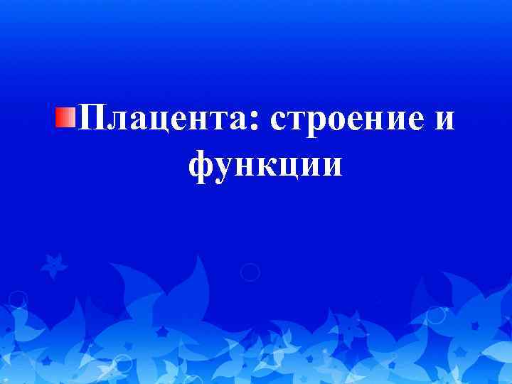 Плацента: строение и функции 
