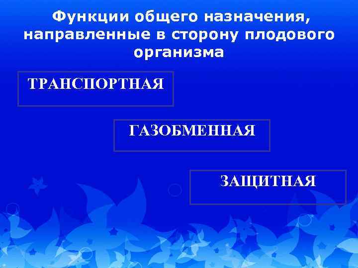 Функции общего назначения, направленные в сторону плодового организма ТРАНСПОРТНАЯ ГАЗОБМЕННАЯ ЗАЩИТНАЯ 