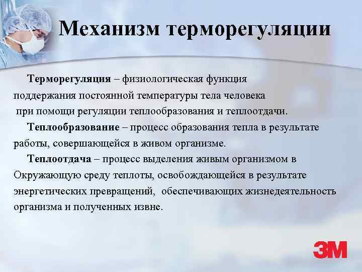 Презентация механизм терморегуляции